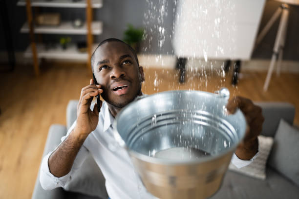 Best Water damage restoration near me  in Myrtle Beach, SC