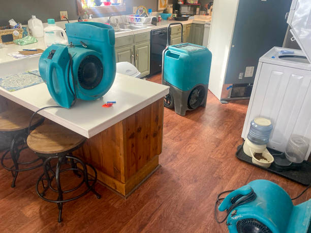 Best Flooded house restoration  in Myrtle Beach, SC