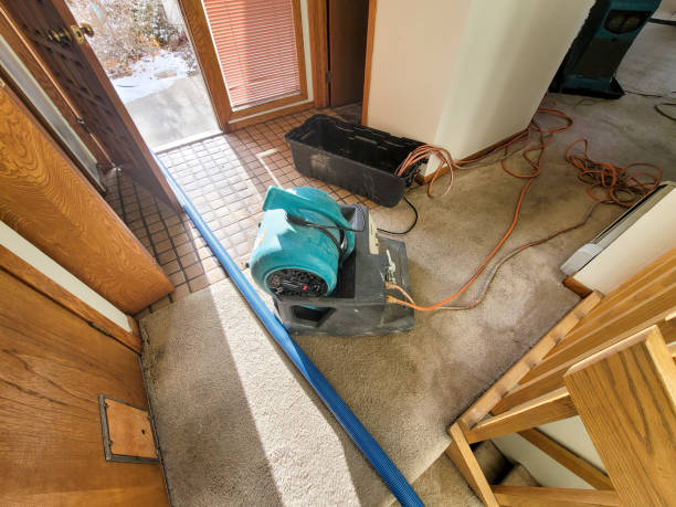 Carpet water damage restoration in SC