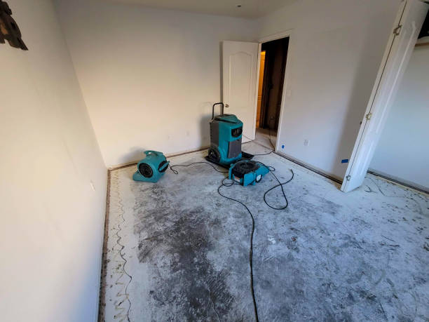  Myrtle Beach, SC Water damage restoration Pros