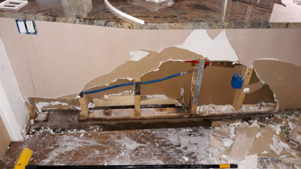 Best Carpet water damage restoration  in Myrtle Beach, SC