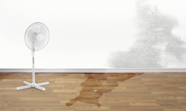Best 24-hour water damage restoration  in Myrtle Beach, SC