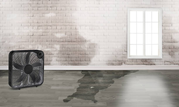 Best Residential water damage restoration  in Myrtle Beach, SC