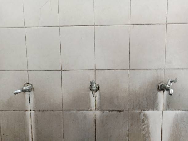 Best Professional water damage repair  in Myrtle Beach, SC
