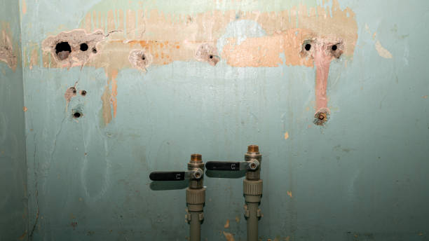 Best Flooded house restoration  in Myrtle Beach, SC
