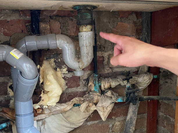 Best Carpet water damage restoration  in Myrtle Beach, SC