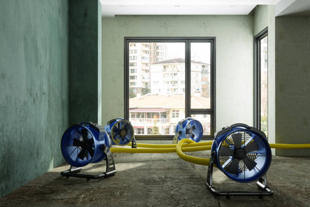 Best Emergency water damage restoration  in Myrtle Beach, SC